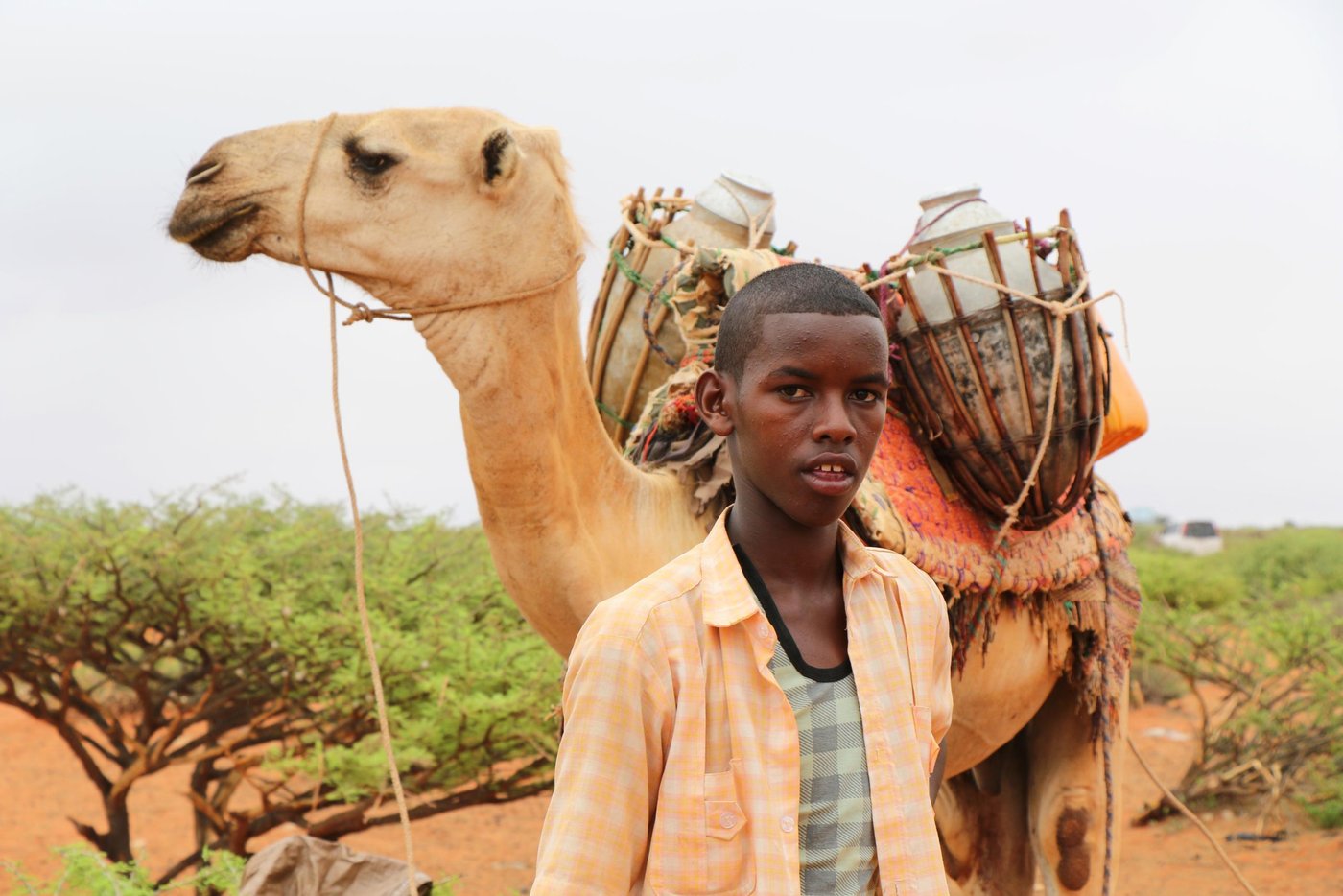 Ali Abdulle, 16, preparing to go home after collecting water from a water point constructed by NRC and funded by FCDO. Photo: Abdulkadir/NRC