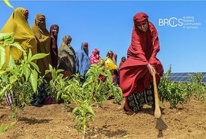 Front page of the report 'Between a shock and a hard place'