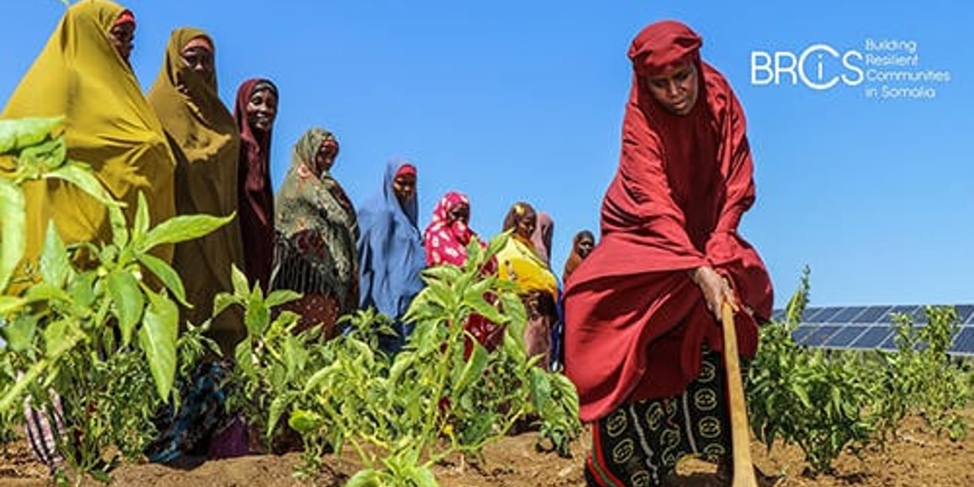Front page of the report 'Between a shock and a hard place'