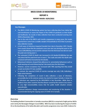 Front page of the report "The BRCiS Covid-19 monitoring"