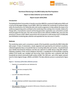 Front page of the report "“Nutrition Monitoring Survey (NMS)”