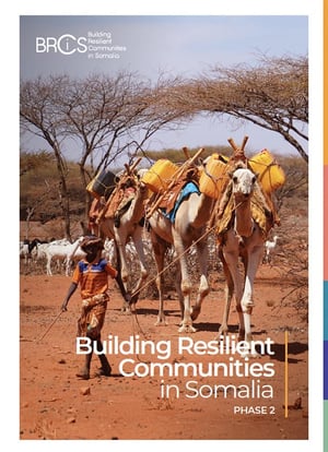 Front page of the report "Building resilient communities in Somalia - phase 2". A child is leading three camels carrying jerrycans of water.