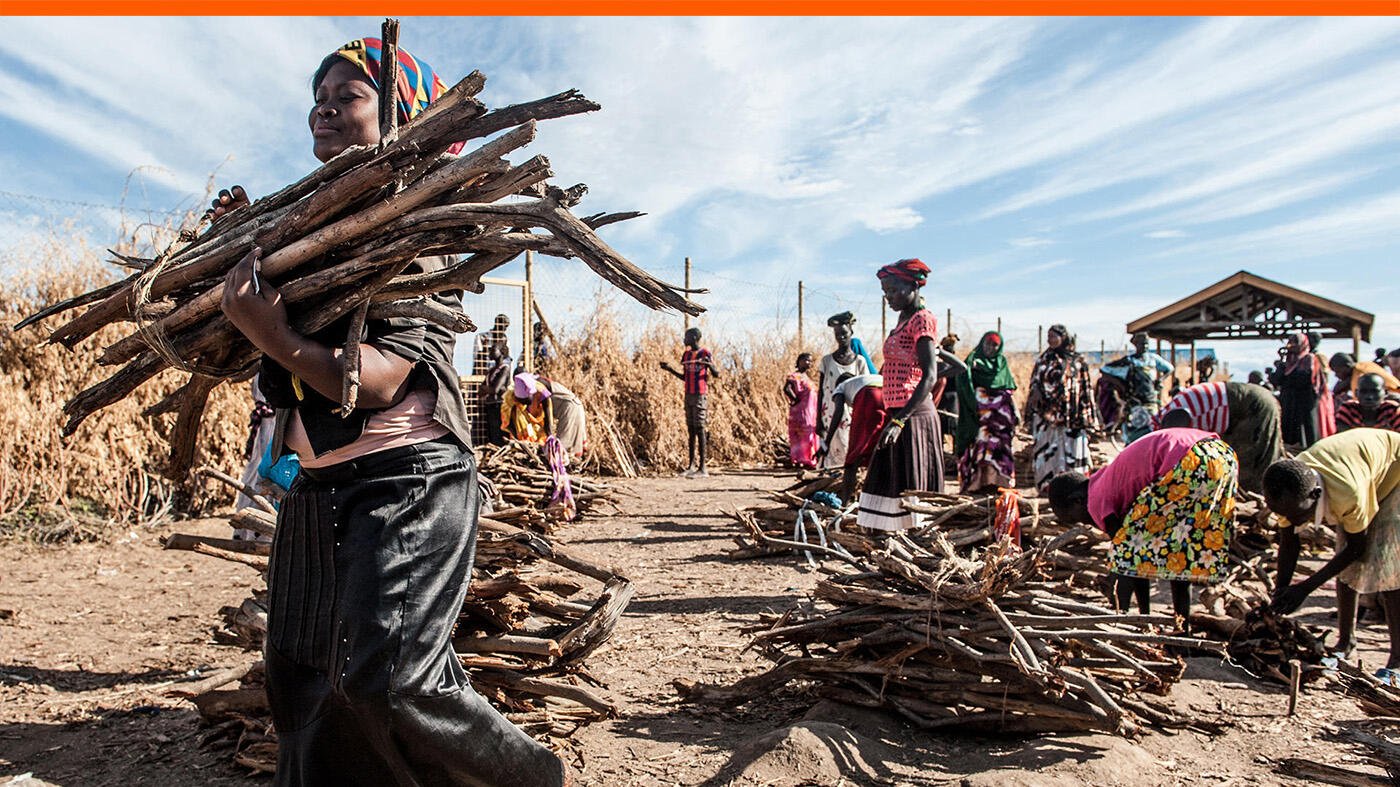 Norwegian Refugee Council areas of expertise: Livelihoods and food security.