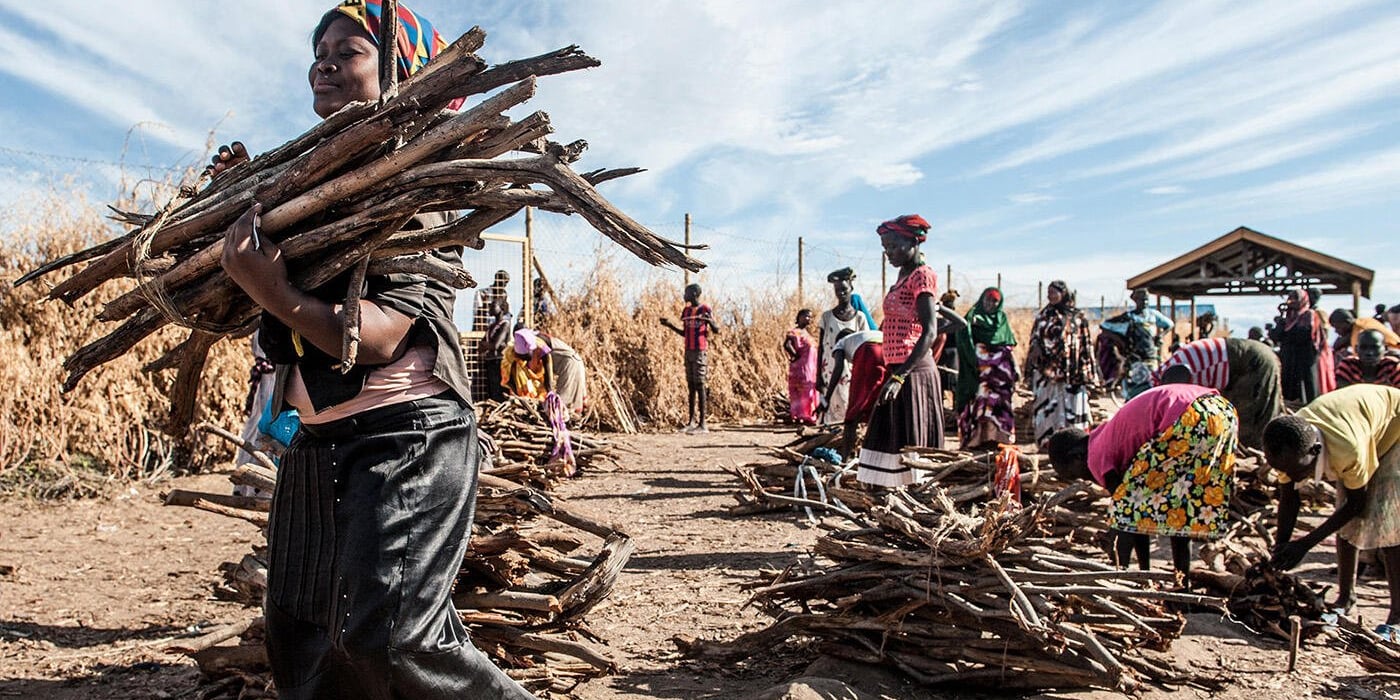 Norwegian Refugee Council areas of expertise: Livelihoods and food security.