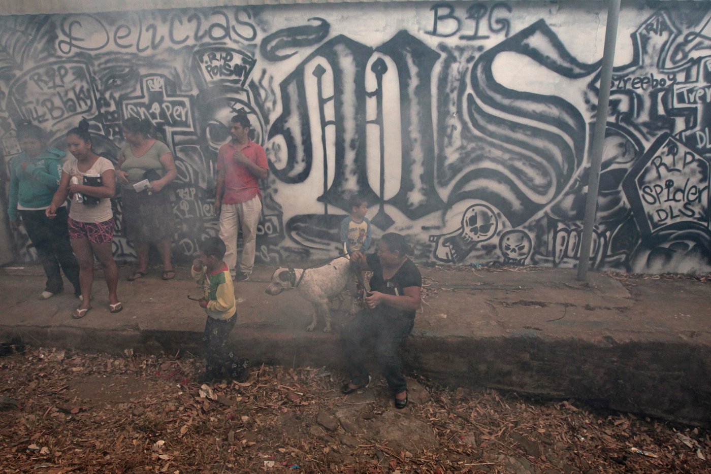 Neighbors protect themselves from fog as city health workers fumigate the Guadalupe community as part of preventive measures against the Zika virus and other mosquito-borne diseases in Santa Tecla, El Salvador February 3, 2016.
© European Commission /DG ECHO/José Cabeza