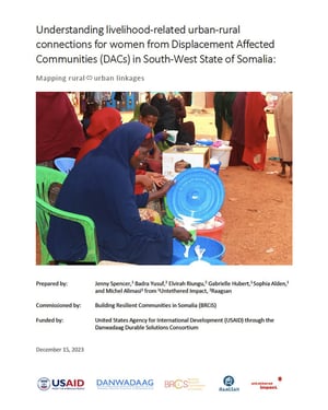 Front page of the report "Mapping rural-urban linkages in South West State".