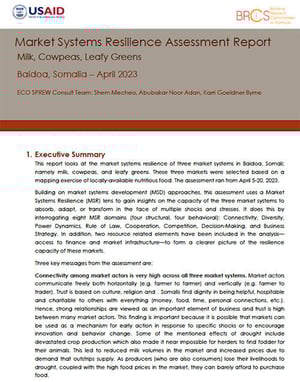 Front page of the report "Baidoa Food Market System Resilience".