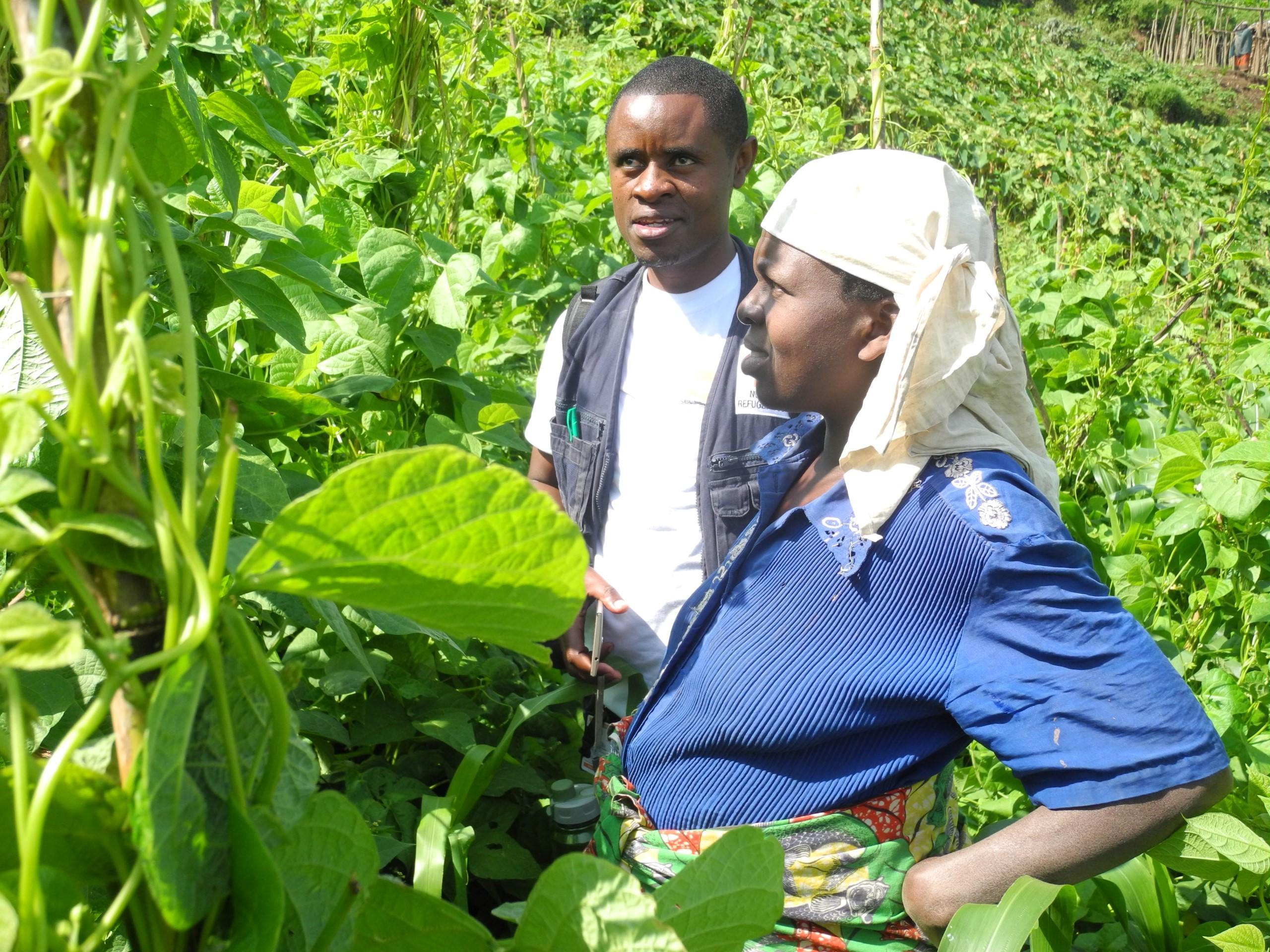 Monitoring activities agriculture activities in Masisi (Mpati), DR Congo.