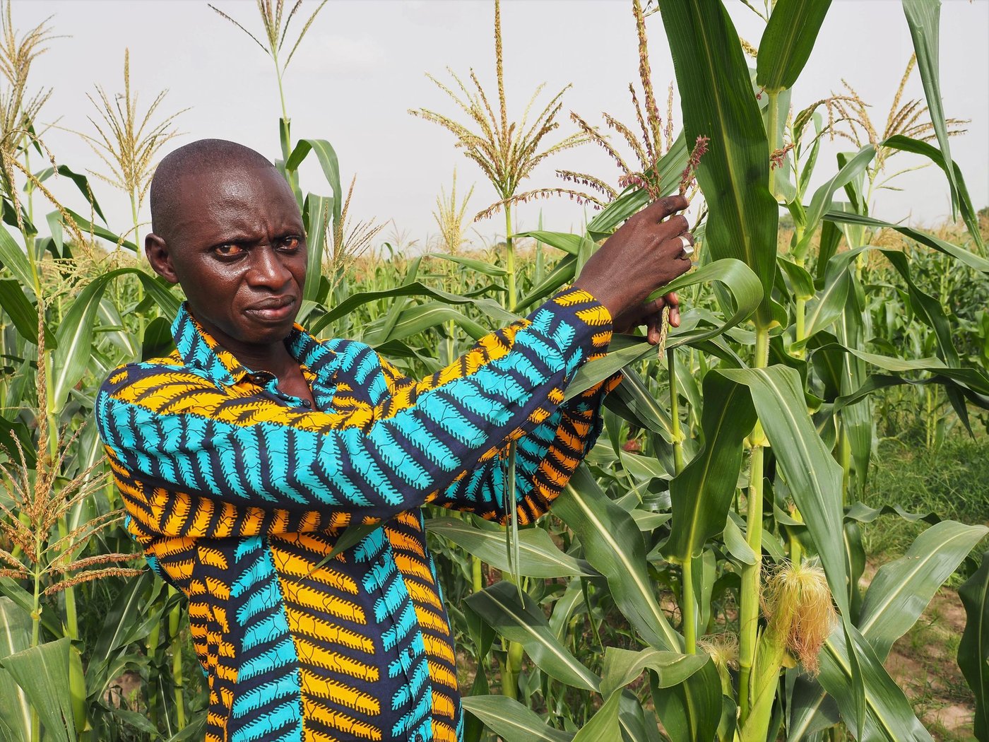 Papé Samba Diané is a maize farmer in Kaffrine, Senegal. He says climate information services are vital for their crops and livelihoods. (Photo: NORCAP/Ida Sem Fossvik)