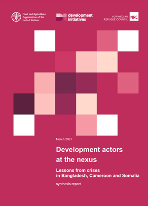Development actors at the nexus; lessons from crises in Bangladesh, Cameroon and Somalia